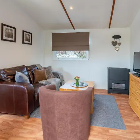 De Buizerd * Hulshorst