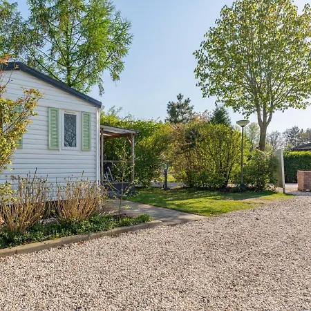 De Buizerd * Hulshorst