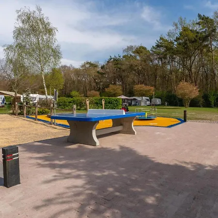 De Buizerd Holiday home