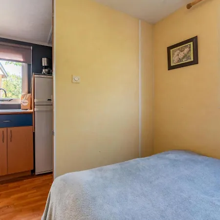 Holiday home De Buizerd *