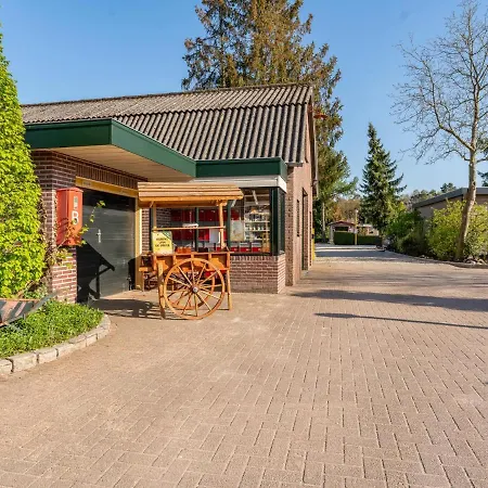 De Buizerd Holiday home Hulshorst