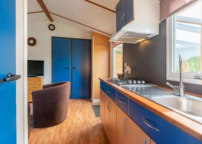 De Buizerd Hulshorst