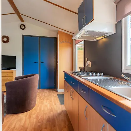 De Buizerd 훌쇼스트