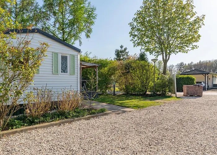 De Buizerd * Hulshorst